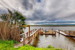 Peace at the River - Image 5