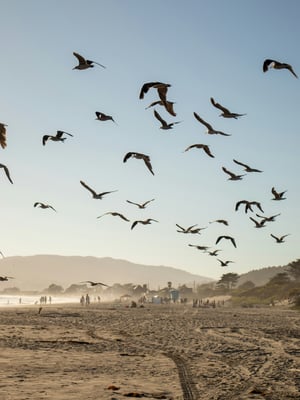Stinson Beach