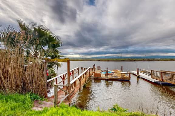 Peace at the River - Image 5